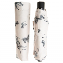 Pasotti, , item261n-5k359/46